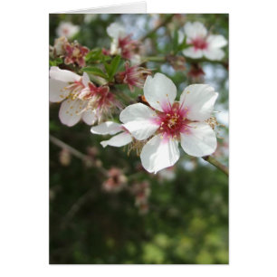 Blankt blanksteg-kort för Blommar Hälsningskort