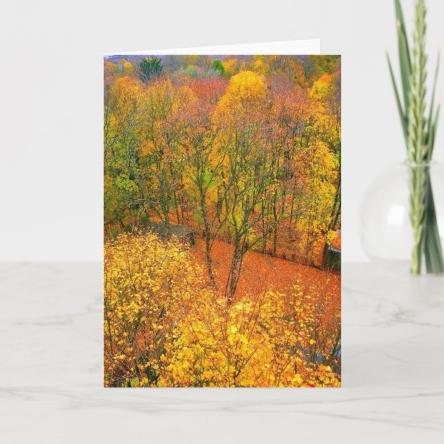 Blankt gratulationskort för "Fiery Autumn" Kort (Framsida)