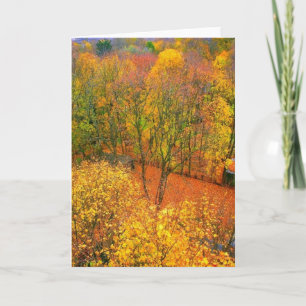 Blankt gratulationskort för "Fiery Autumn" Kort