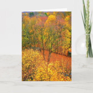 Blankt gratulationskort för "Fiery Autumn" Kort