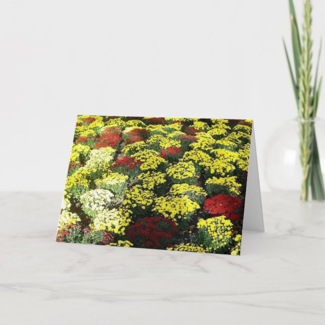 Blankt gratulationskort för höstblommor kort (Framsida)