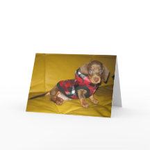 Blankt gratulationskort för kvalpar