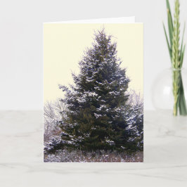 Blankt gratulationskort för ’Maine’ Helgkort