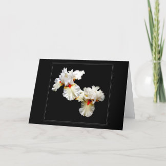 Blankt gratulationskort för 'Ruffles' Kort