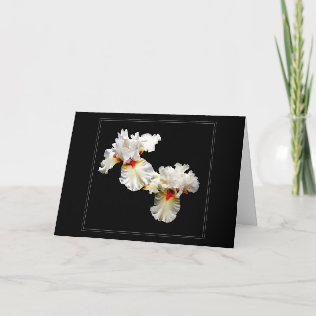 Blankt gratulationskort för 'Ruffles' Kort (Framsida)