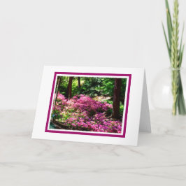 Blankt gratulationskort för vår kort