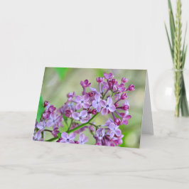 Blankt gratulationskort med Lilac Flowers Kort