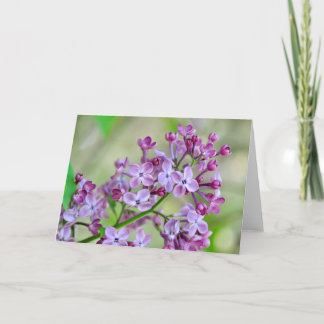 Blankt gratulationskort med Lilac Flowers Kort