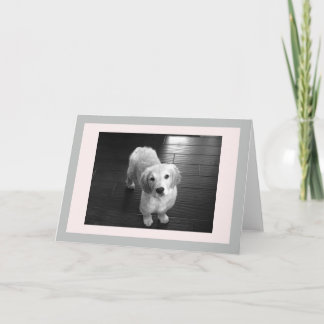 Blankt guldfärgat uppringningskort för valpar helgkort