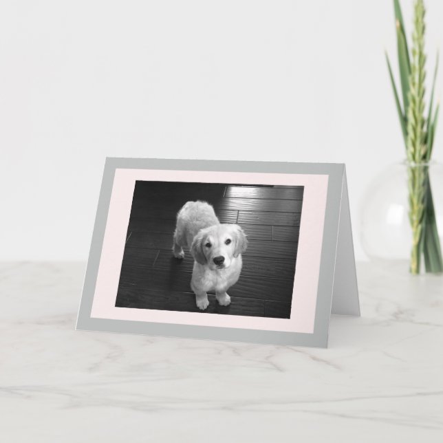 Blankt guldfärgat uppringningskort för valpar helgkort (Framsida)