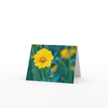 Blankt insida på det mappade kortet