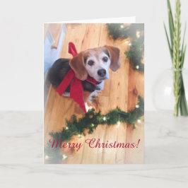 Blankt kort för Anpassadet god jul Beagle