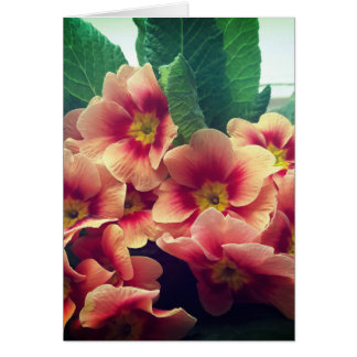 Blankt kort för orange