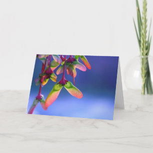 Blankt kort för röd kapsel