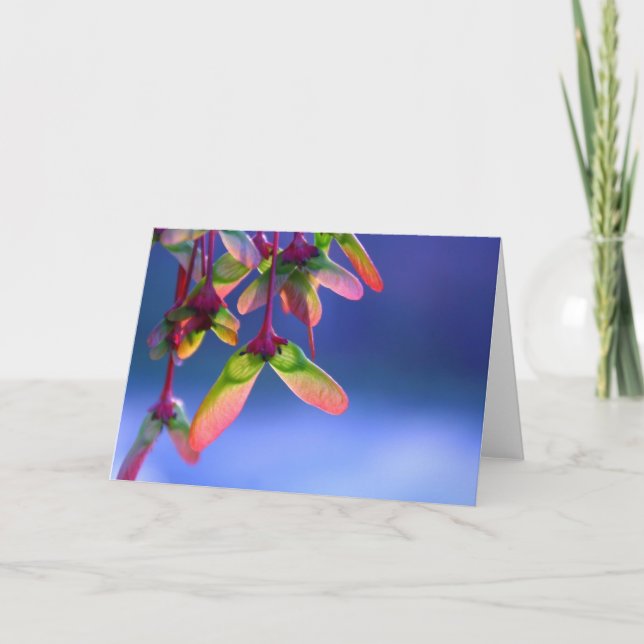 Blankt kort för röd kapsel (Framsida)