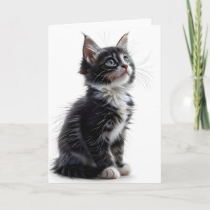 Blankt kort för svart och vitt, långverkande katt