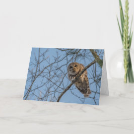 Blankt Notecard av barred Uggla Tack Kort