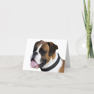 Blankt notecard för Boxer Puppy Hund Kort