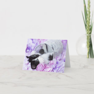 Blankt notecard för Lila av Pippa-Blommigt Kort