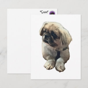Blankt Pekingesiskt kort med "Sink"