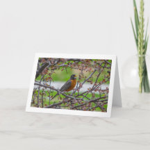 Blankt "Rockin"-kort för vikning