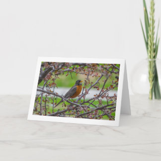 Blankt "Rockin"-kort för vikning Kort