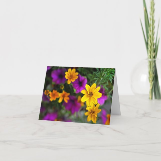 Blankt sommarkort i Färg Kort (Framsida)