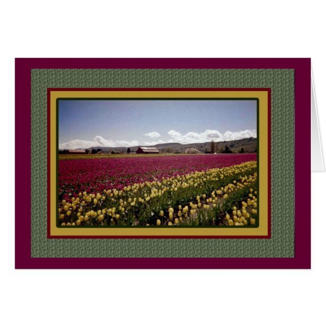 Blankt Tulip Fält-kort Hälsningskort (Framsidan Horizontal)