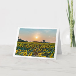 Blankt vikat gratulationskort "Fält of Flowers" Kort