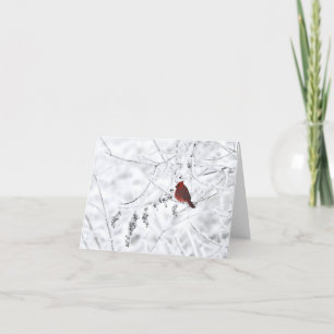 Blannotecard med vinterkardinal tack kort