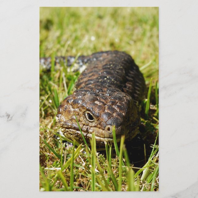 Blåödlödande gräs i Tunga, Brevpapper (Framsida)