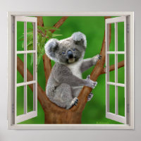 Blåögd Baby Koala Bear Fake Window