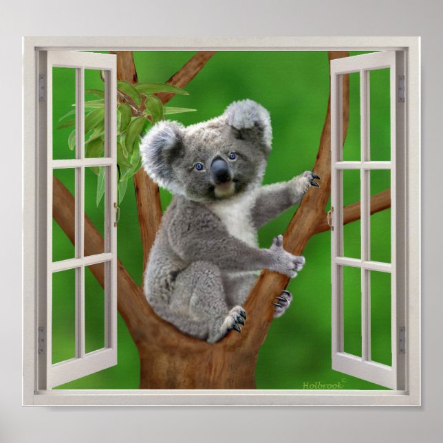 Blåögd Baby Koala Bear Fake Window Poster (Framsidan)