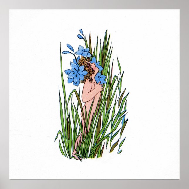 Blåögd gräs poster (Framsidan)