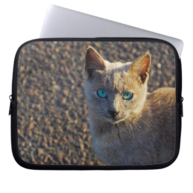 Blåögd katt laptop sleeve (Framsidan)