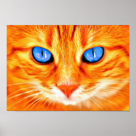 Blåögd katt poster
