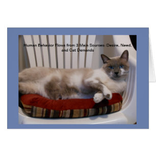 Blåögd kattfilosof Notecards [tom insida] Hälsningskort