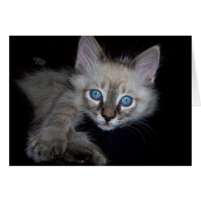 Blåögd pojke hälsningskort (Framsidan Horizontal)