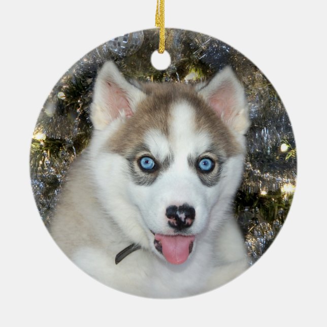 Blåögd Siberian husky-jul Julgransprydnad Keramik (Baksidan)
