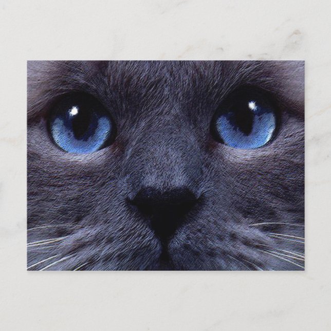 blåögda vykort (Framsida)