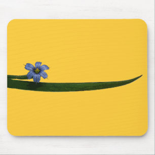 Blåögonblomma blomma och blad musmatta