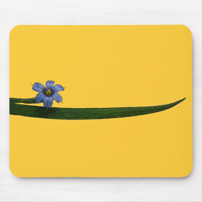 Blåögonblomma blomma och blad musmatta (Framsidan)