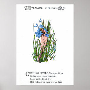Blåögt gräs poster