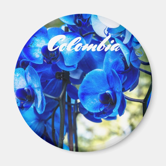 Blåorkidéer Magnet (Framsidan)
