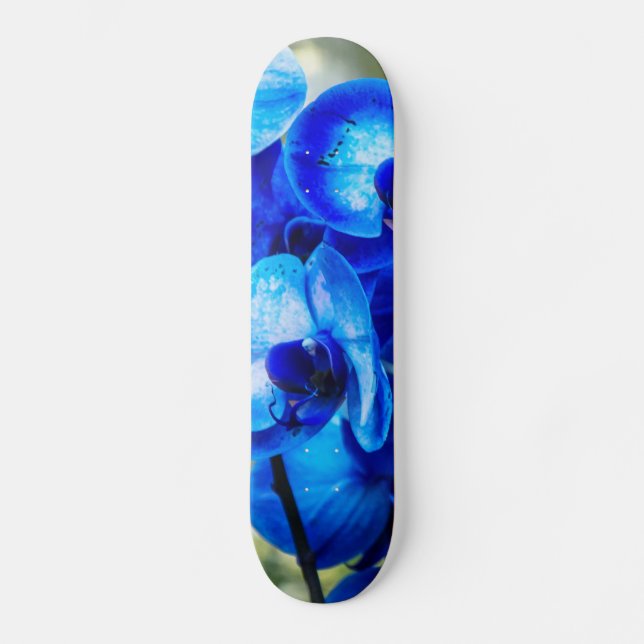 Blåorkidéer Mini Skateboard Bräda 18,5 Cm (Framsida)