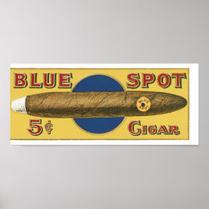 Blåpunktsburk Poster