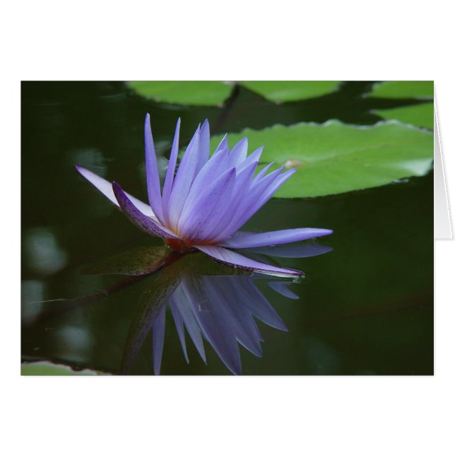 Blåreflektioner OBS Kort (Framsidan Horizontal)