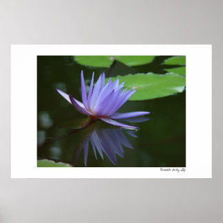 Blåreflektioner Poster