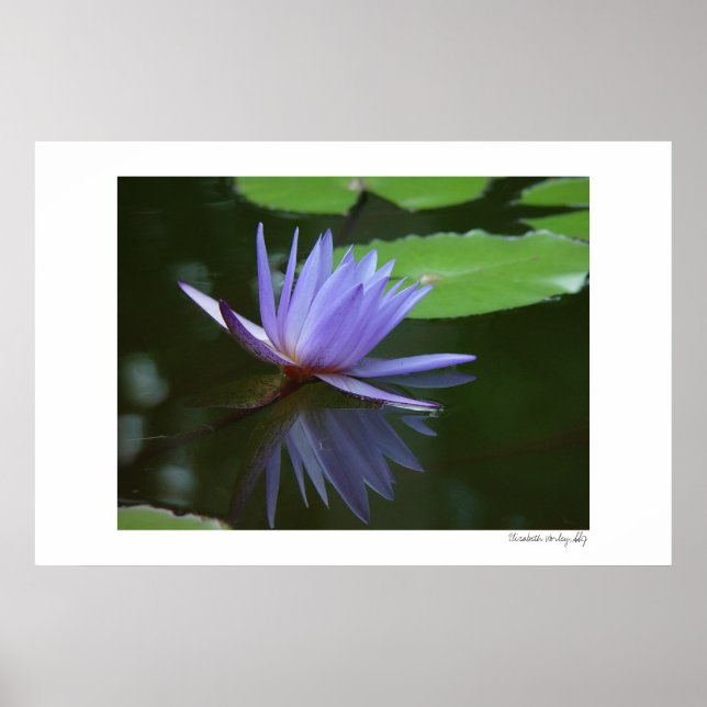 Blåreflektioner Poster (Framsidan)