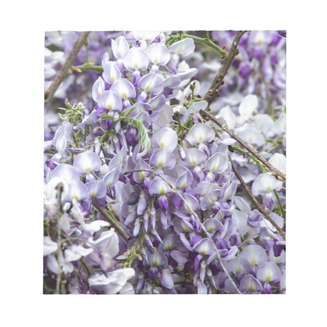 Blåregn Anteckningsblock (Framsida)